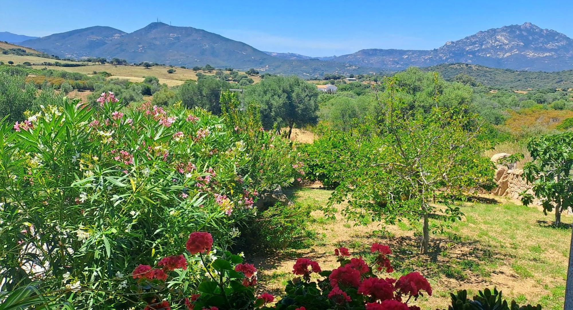 Casa Sole Villa Rudalza Værelse billede